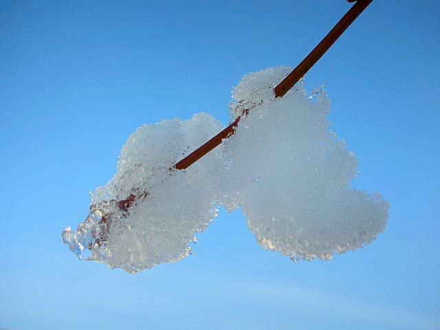 Cristalli di ghiaccio